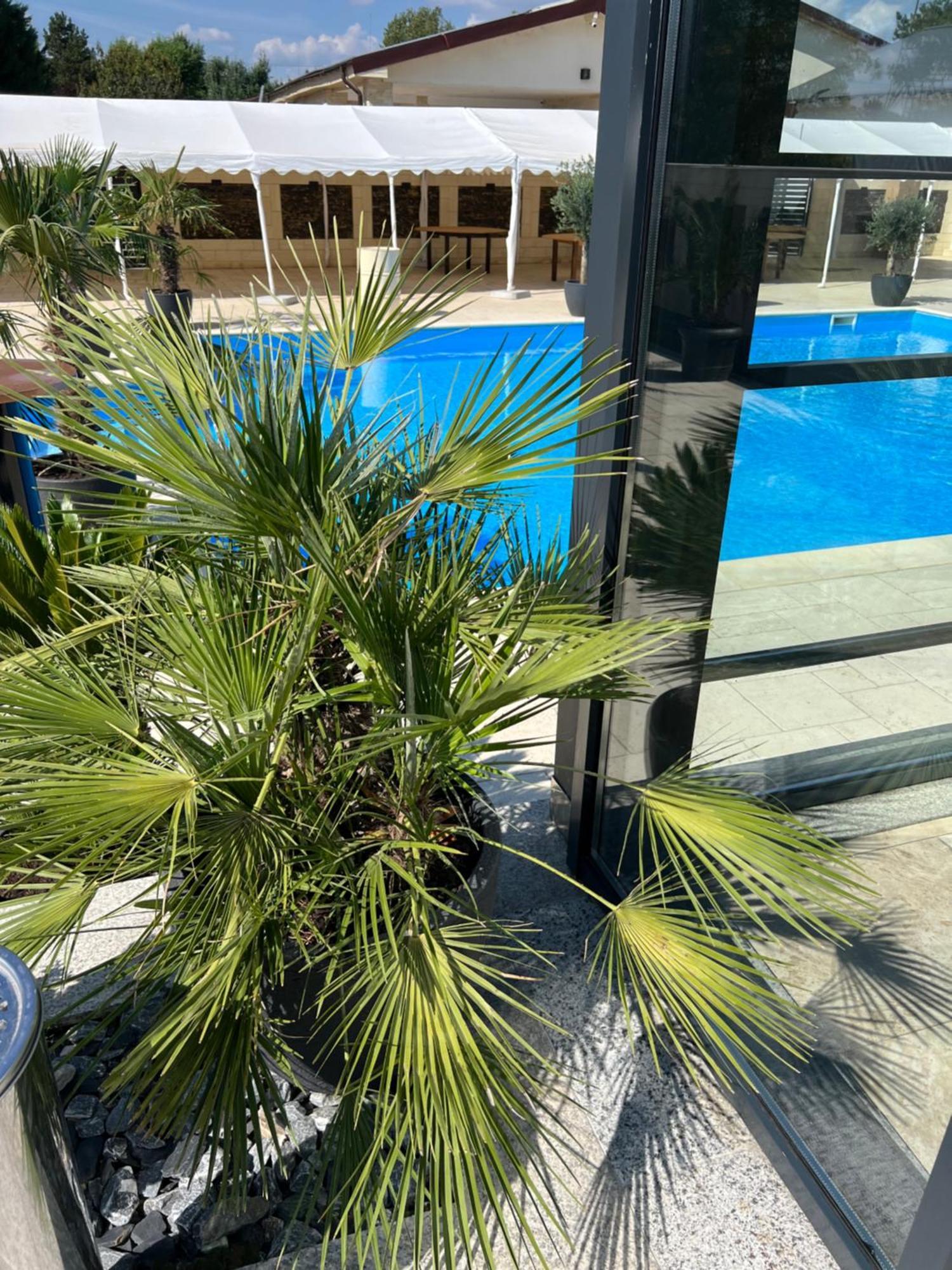 Hotel Del Ponte 特尔戈维什泰 外观 照片